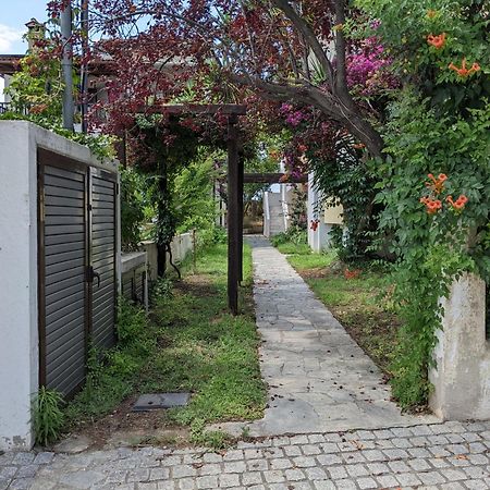 Melina Apartments Nikiti  Zewnętrze zdjęcie